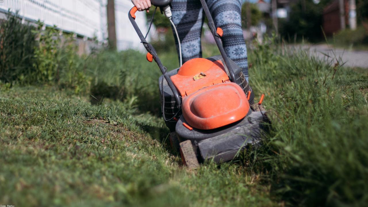 Yard services